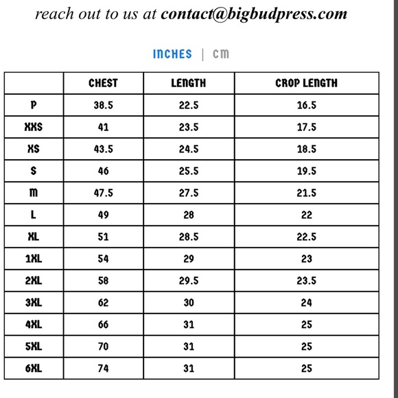 NEW Big Bud Press Burly Tee in Red Sz 1XL Relaxed Boxy Fit Unisex Heavy Cotton - Picture 12 of 12